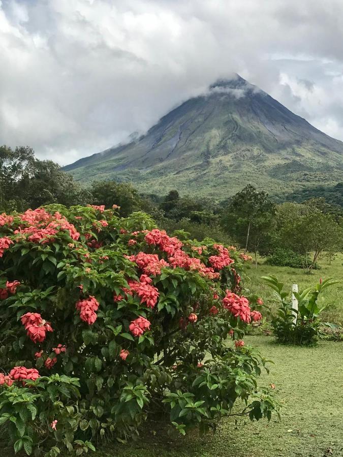 Arenal Roca Suites La Fortuna Exterior photo