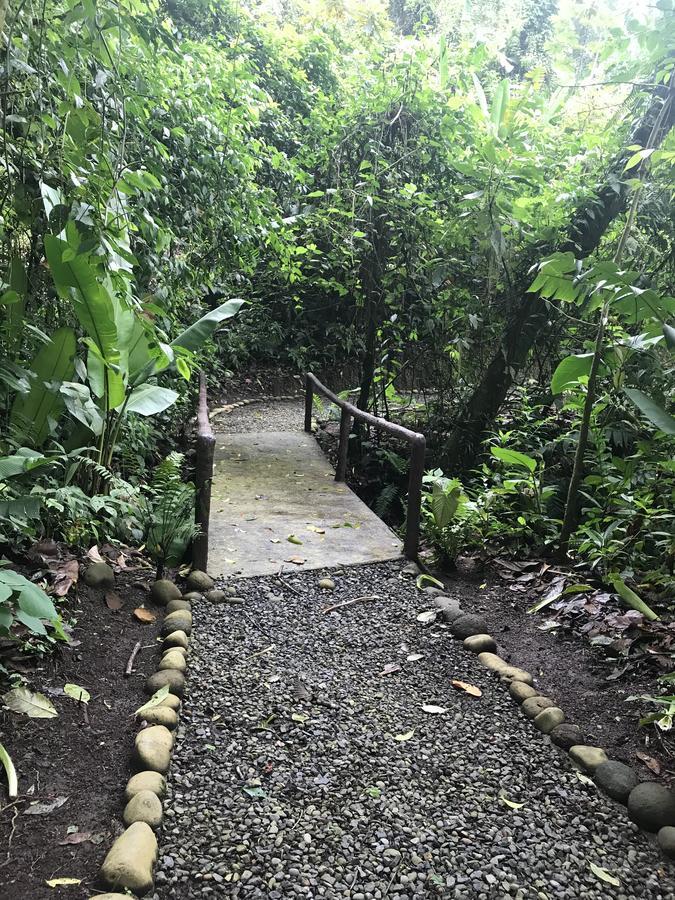 Arenal Roca Suites La Fortuna Exterior photo